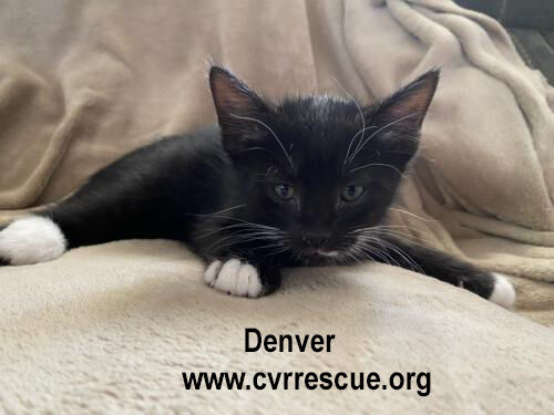 Denver